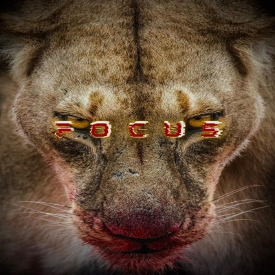 FOCUS - Single