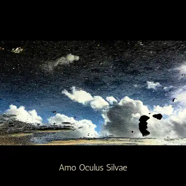 Amo Oculus Silvae