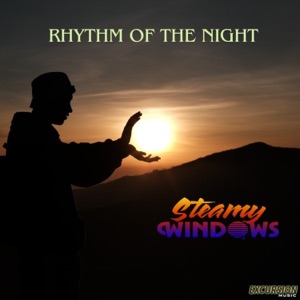 Rhythm Of The Night - Single
