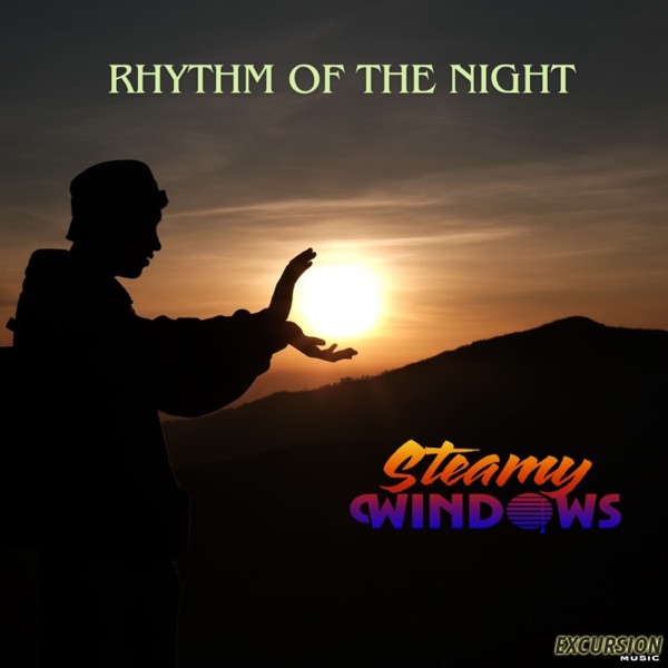 Rhythm Of The Night - Single