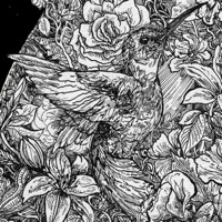 Leyla - Single - Ivan Shopov & Mahlukat