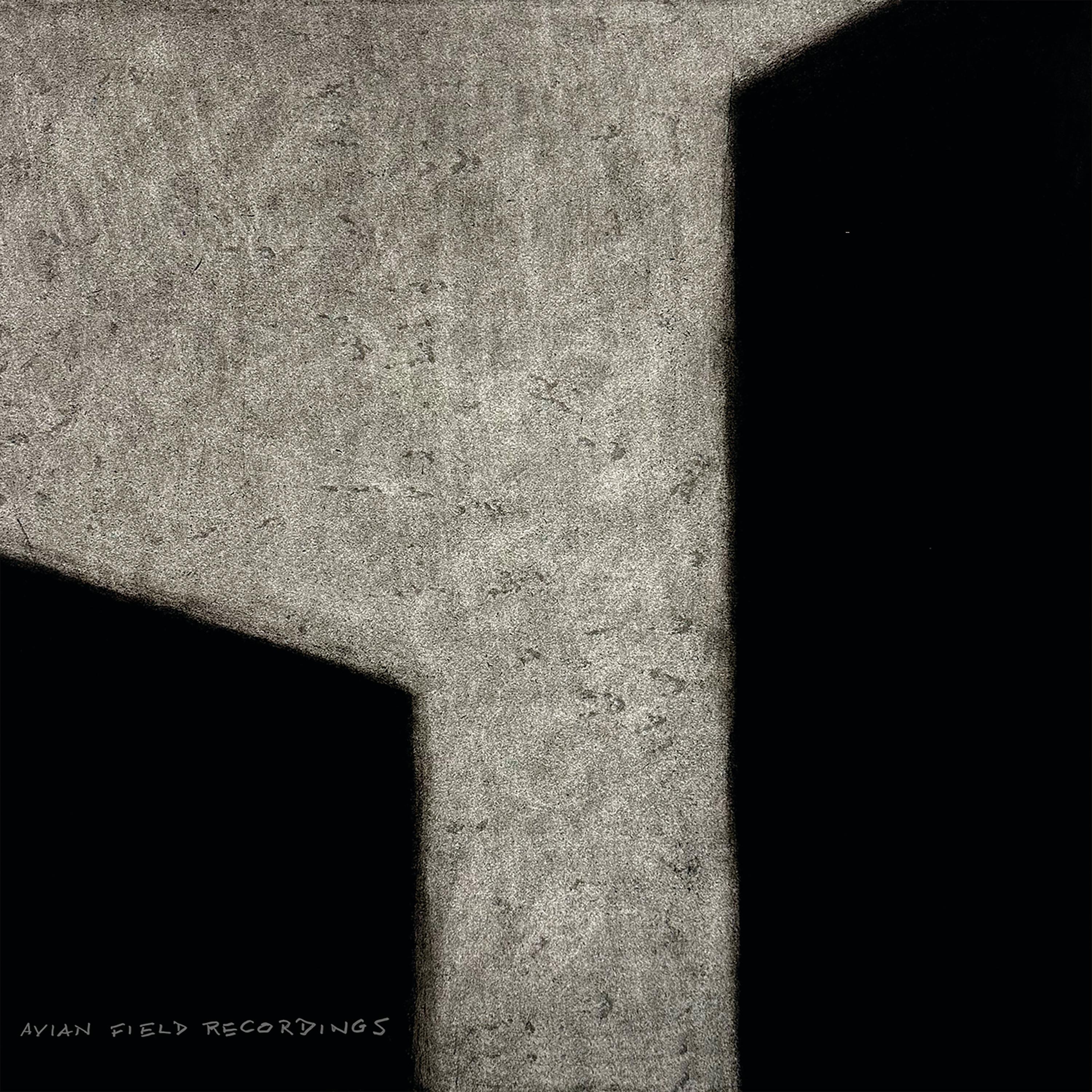 Avian Field Recordings