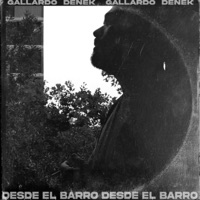 Desde el Barro - Single - Gallardo & DENEK