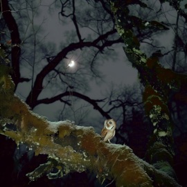 Breath Jenasi & YANDERKA