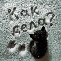 Как дела? - Single - whyspurky