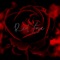 Red Love - Finley Karen lyrics