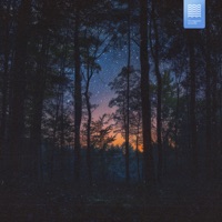 Silent forest - Single - møndstein & Diago Skybeats