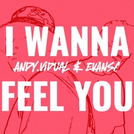 I Wanna Feel You Andy.vidual & EVANS$