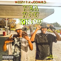 YEA YOU KNOW - Single - Weezy_T