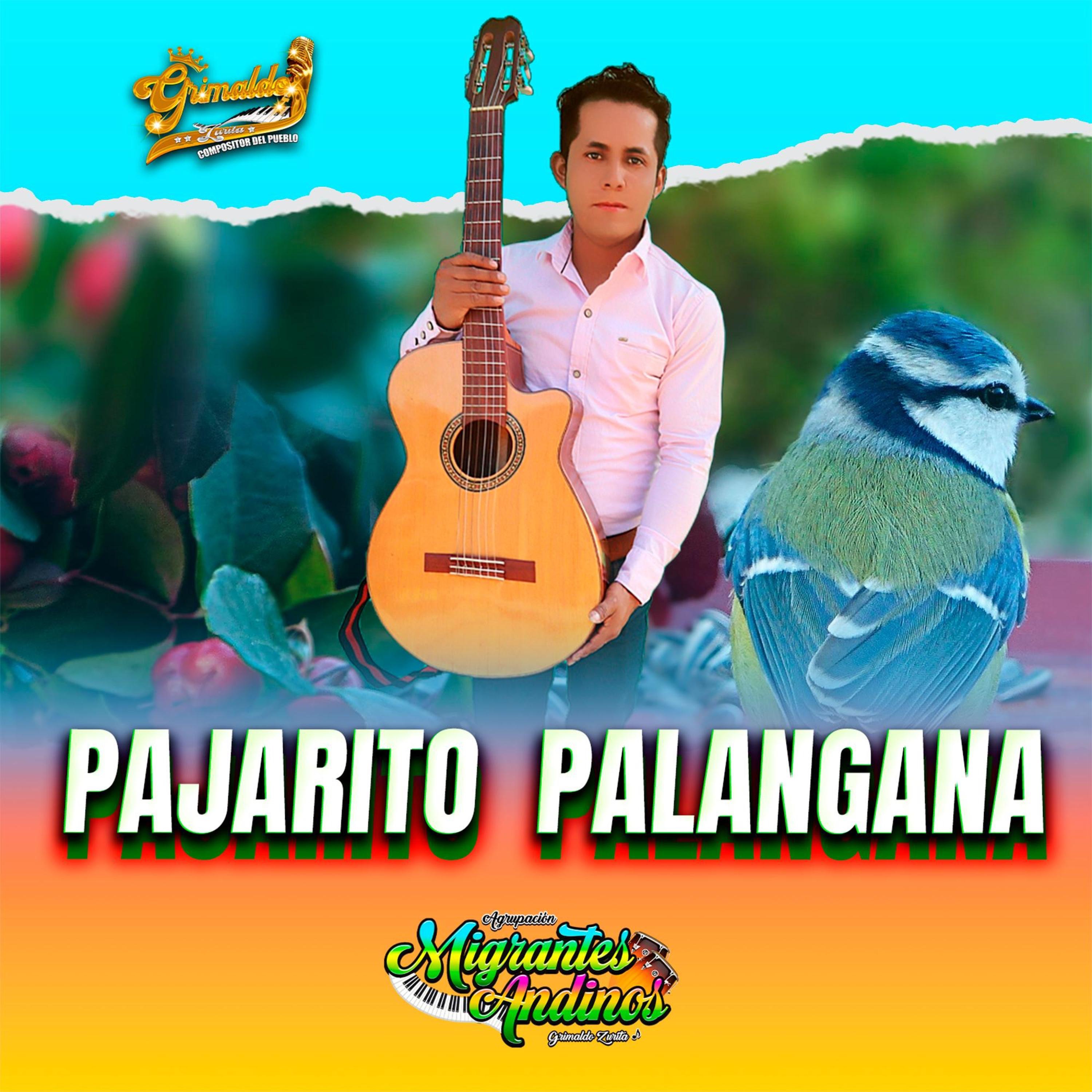 PAJARITO PALANGANA - Single