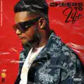 Cheers to Life