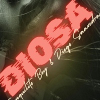 Diosa (feat. Diego saavedra) - Single - Tranquilito boy