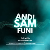 Andisamfuni (feat. Vagabond MW) - Single - De mkq
