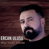 Niye Verdin Ellerini