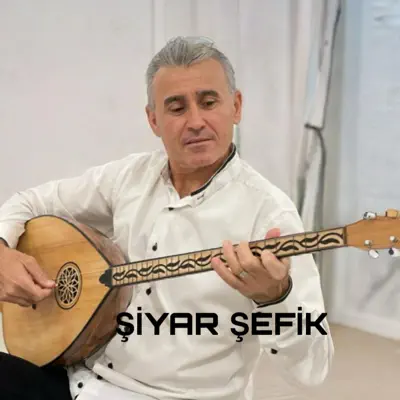 Listen to GULE - Single by BİRYAR MUZİK
