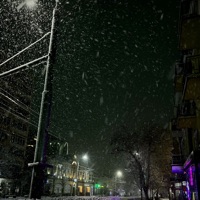 Куча новых номеров - Single - TYLSN