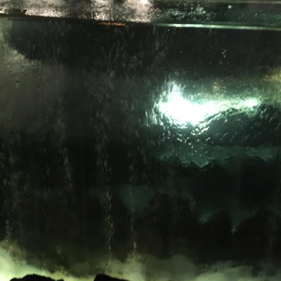 Crab Meat (feat. Aceii) - Single