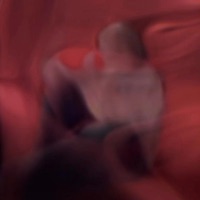 2020 - Single - Lytro