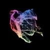 Fracture