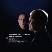 Darkness - Thilo Dahlmann & Hedayet Djeddikar