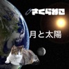 さくらねこ