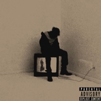 What They Expect - Single - 55 Aero