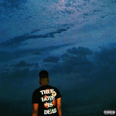 I'm still here (Deluxe)