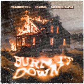 BURN IT DOWN CAKEBOY3XL, Ikarus & greenxplaya