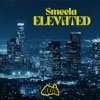 Elevated