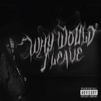 Why Would I Leave? (feat. Elijae) - Single - Janis