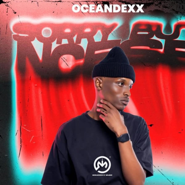 Sorry But Ncese (feat. Sekdlalu Bandiilee & Innesoul)