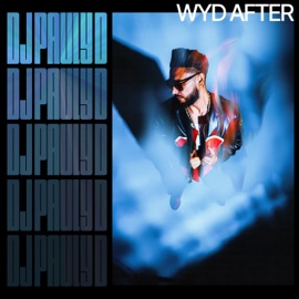 WYD After DJ Pauly D