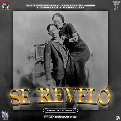 Se Revelo (feat. Lamelodiadelhampa, Renaglock & YoungGlizzy) - Single