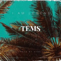 Album cover for Tems by I AM LEGEND