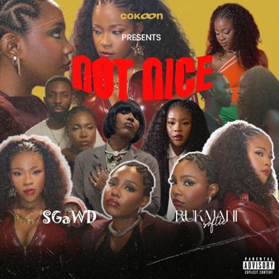 Not Nice - Single