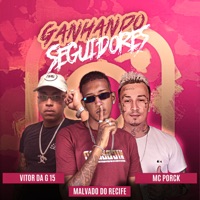 Ganhando Seguidores - Single - mc porck & vitor da g15