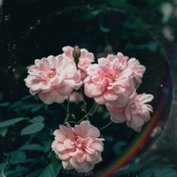 Truth Hurts - Single - Deadfish