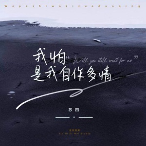 我怕是我自作多情 - Single