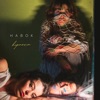 Habok - Single