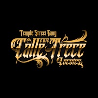 CX3L (feat. Chile Ice, Hustla Lokote, El Maki, Blame & Snagg) - Single - Skant Vee