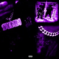 Vault of Synn - EP - synnforever