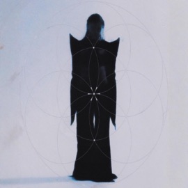 EVERYTHING IS WITHIN YOU (feat. TRIPPLEHAZE) Allen Core