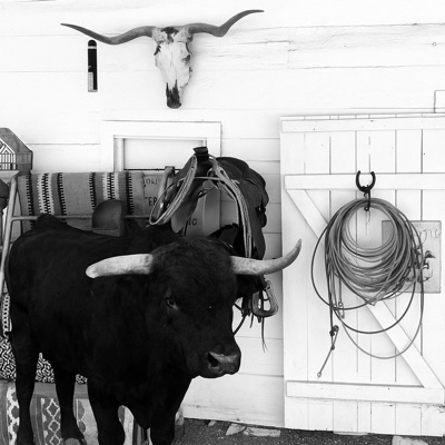 BOYS IN THE PICKUP BED - Single