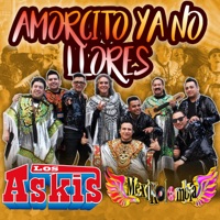 Amorcito Ya No Llores - Single - Los Askis & Mexikolombia