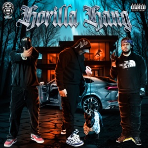 Gorilla Gang (feat. JA$pER.n44 & Ruusview)