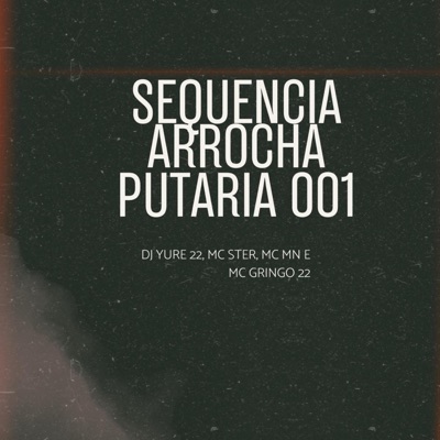 Sequencia Arrocha Putaria 001 (feat. mc gringo 22) - Single