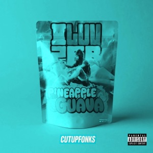Pineapple & Guava (feat. Bani) [Fast] - Single