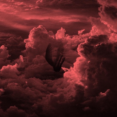 Sin Opciones - Single