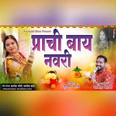 Prachi Baay Navri (feat. Parmesh Mali) - Single