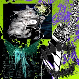 WAT I DO??? (feat. swagtastic666) funhvr